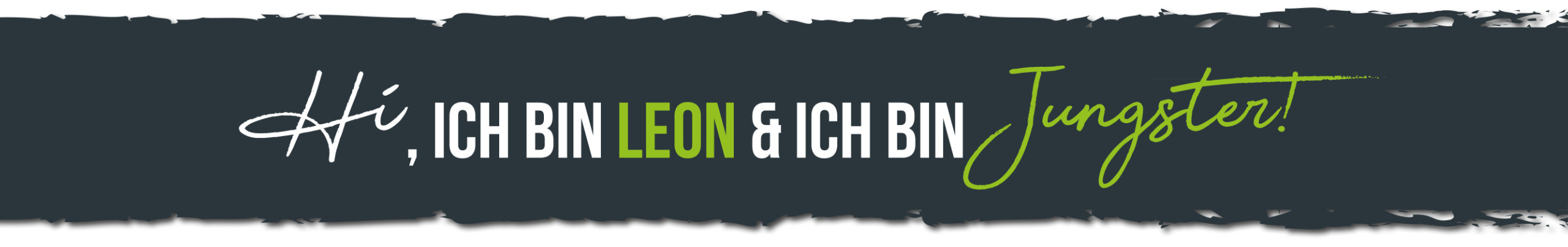 01 Balken_grau_Hi_Leon